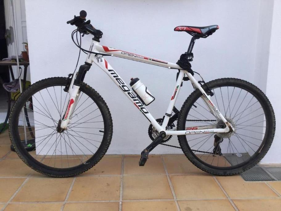 Pachi Beach Alisios Playa Corralejo Zewnętrze zdjęcie