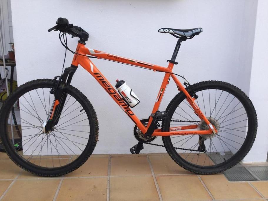Pachi Beach Alisios Playa Corralejo Zewnętrze zdjęcie